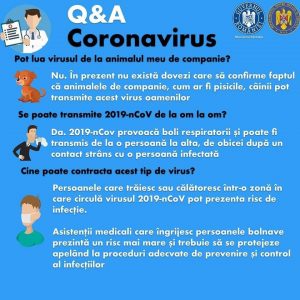 intrebari despre coronavirus (1)